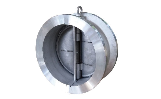 Dual plate check valve