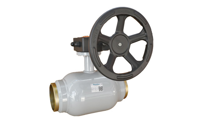 Fully welded ball valve
